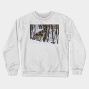 Timber Wolf In Snow Crewneck Sweatshirt